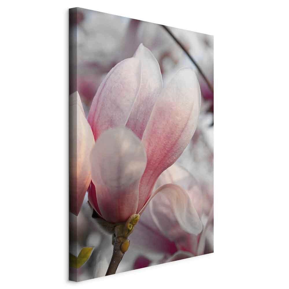 Slika Na Platnu Herald Of Spring - pink/siva, Basics, tekstil/leseni material (40/60/1,2cm) - artgeist