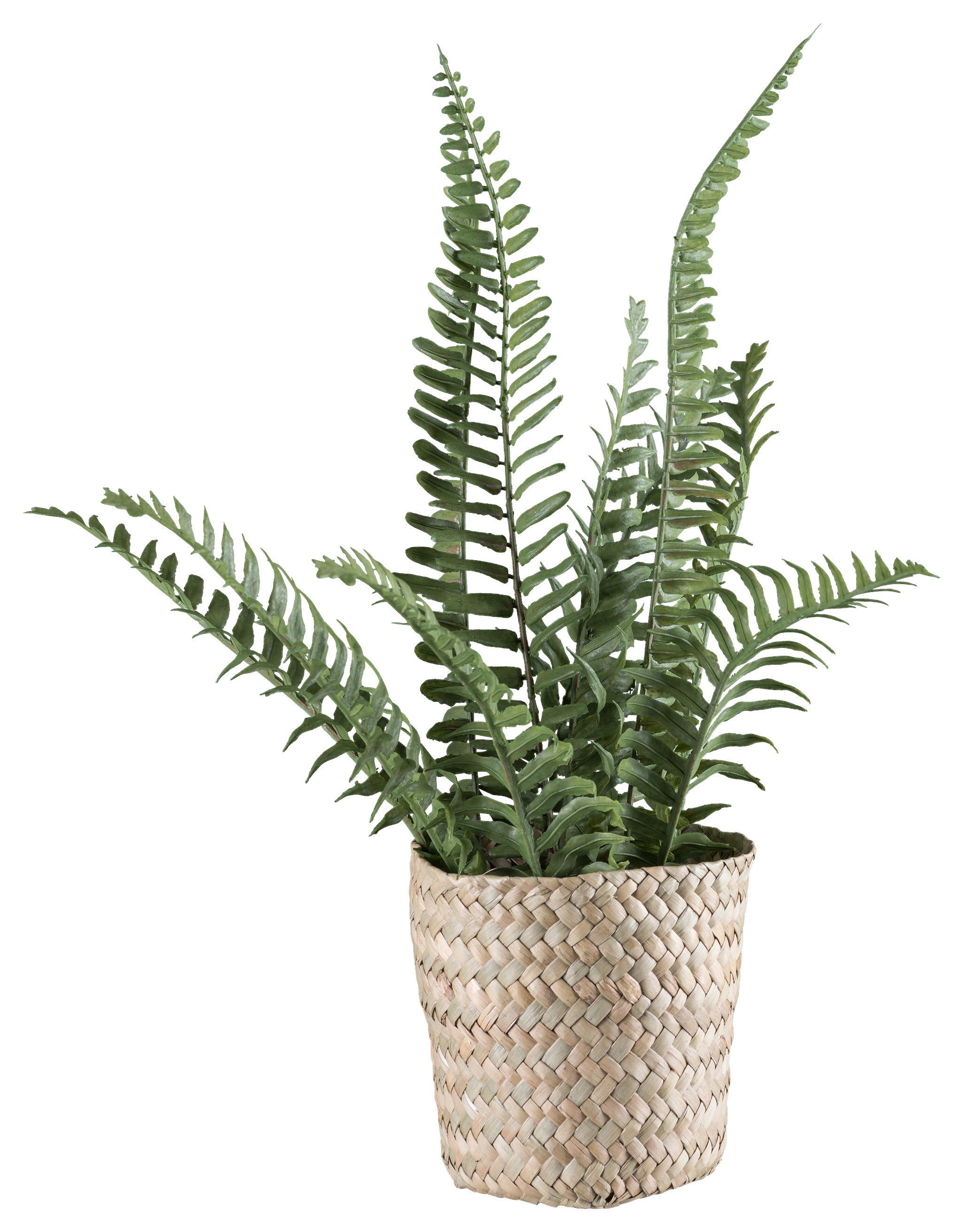 Kunstpflanze Straussenfarn II in Grün - Naturfarben/Grün, Basics, Naturmaterialien/Kunststoff (38cm) - Modern Living