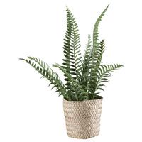 Kunstpflanze Straussenfarn II in Grün - Naturfarben/Grün, Basics, Naturmaterialien/Kunststoff (38cm) - Modern Living