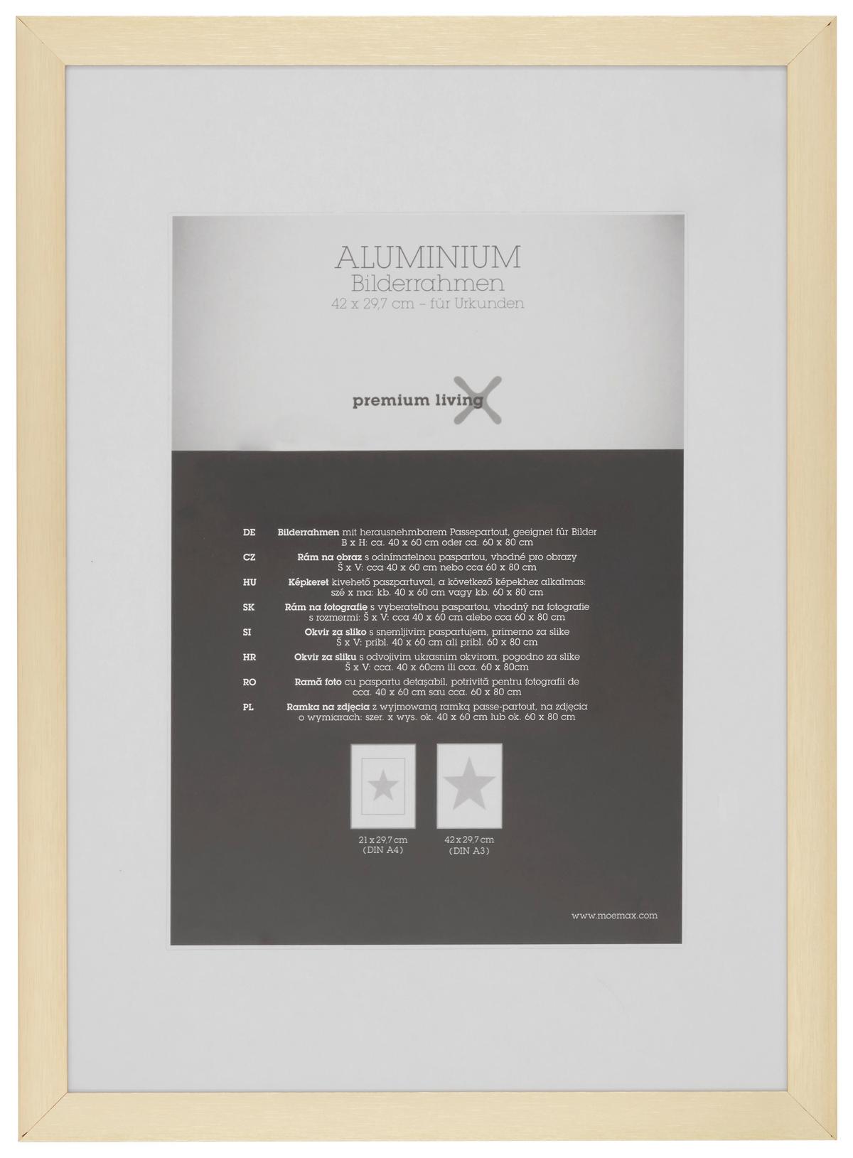 Képkeret Kb. 42x29,7cm Aluminium - sárgarézszínű/aranyszínű, Romantik / Landhaus, fém (32,8/45,1/2.2cm) - Premium Living