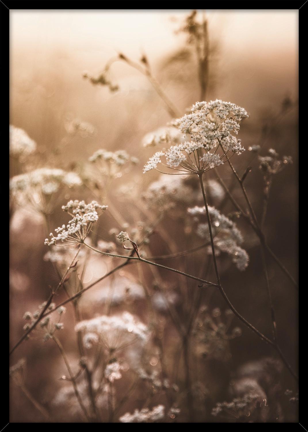 Bild Image ca. 50x70cm - Dunkelbraun/Beige, Holzwerkstoff/Papier (50/70cm) - Modern Living