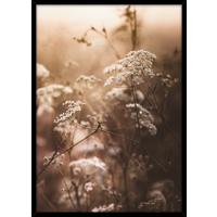 Bild Image ca. 50x70cm - Dunkelbraun/Beige, Holzwerkstoff/Papier (50/70cm) - Modern Living