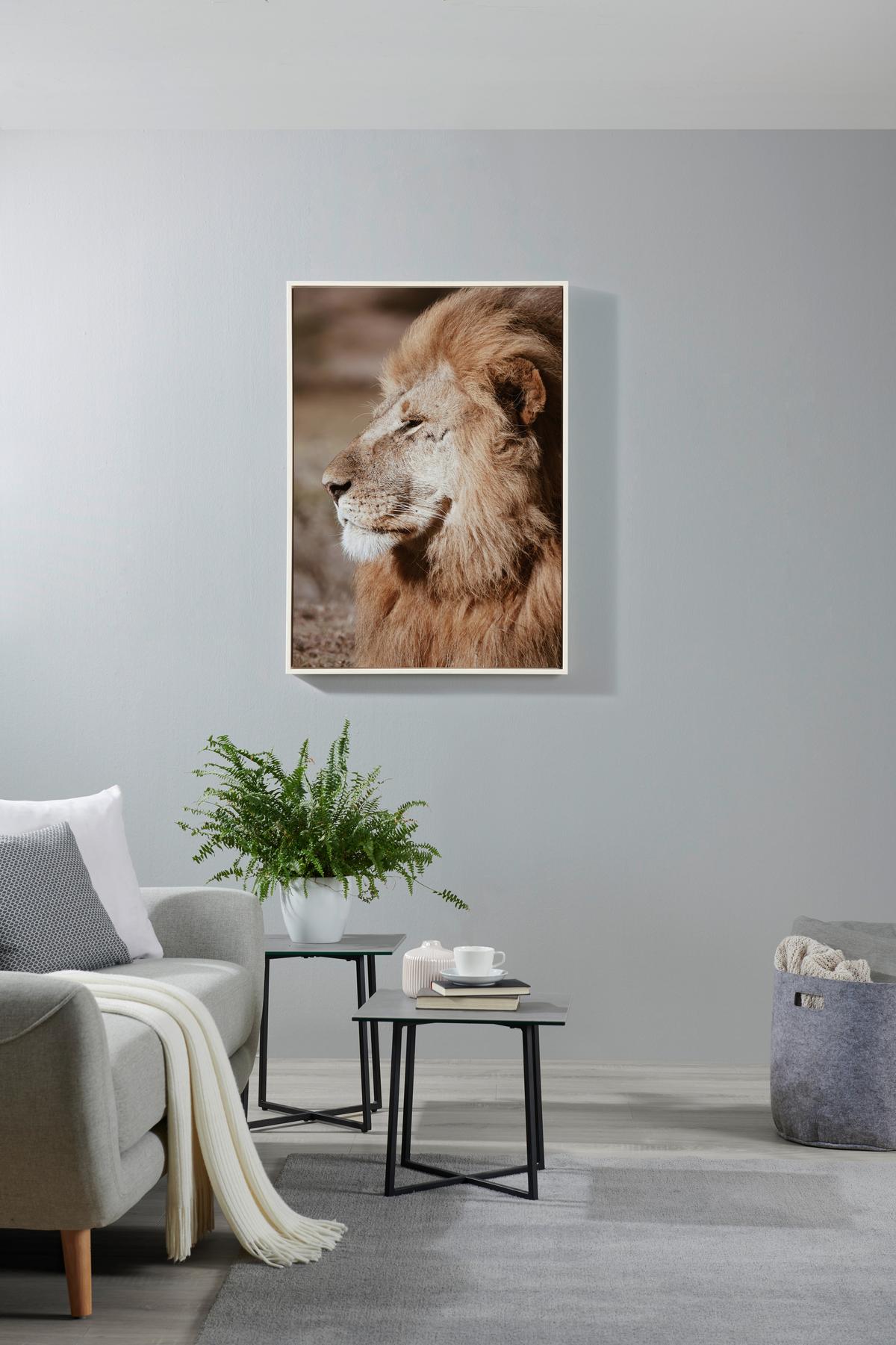 Tablou cu ramă Canvas cca. 50x70 cm - multicolor, Basics, textil/material pe bază de lemn (50/70/2,5cm) - Modern Living