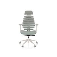 Pisarniški Stol Ergo Line W, Svetlo Siva - bela/svetlo siva, Moderno, umetna masa/tekstil (67/116 - 133/65cm) - MID.YOU