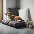 Blazine Za Vrtno Pohištvo Daniel - rjava, tekstil (40/60cm) - Mömax modern living Blazine Za Vrtno Pohištvo Daniel - rjava, tekstil (40/60cm) - Mömax modern living