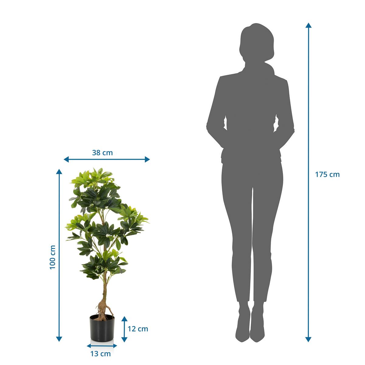 Umetna Rastlina Schefflera - črna/zelena, Basics, umetna masa/tekstil (38/100/30cm) - MID.YOU