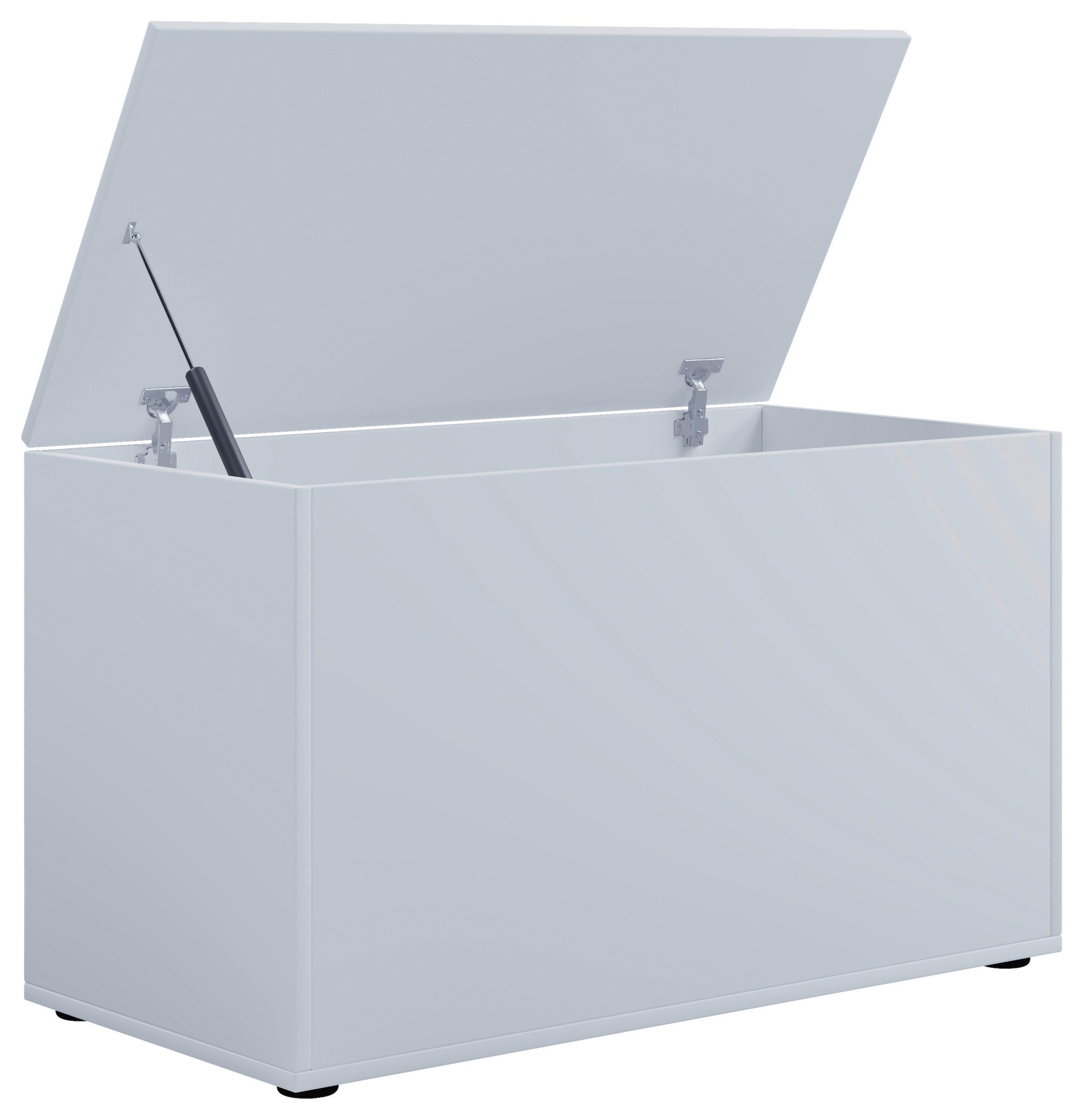 TRUHENBANK BENDOLA - Weiss/Schwarz, Konventionell, Holzwerkstoff/Kunststoff (82/49/44cm) - MID.YOU