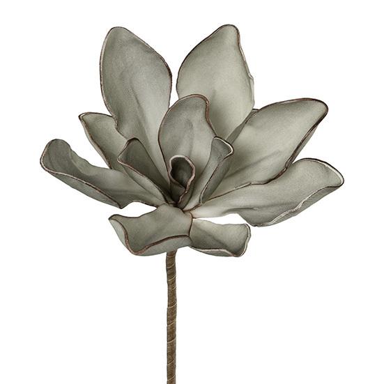 Kunstblume Magnolie in Braun/Jadegrün - Jadegrün/Braun, Basics, Kunststoff (10/70cm)