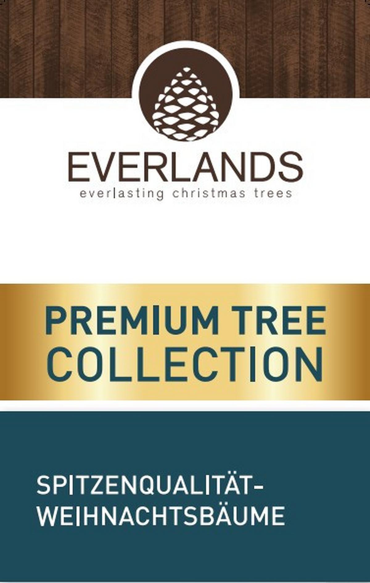 CHOINKA NORDMANN - zielony, Basics, tworzywo sztuczne/metal (110/150cm) - X-Mas